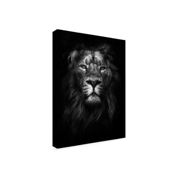 Design Fabrikken 'King Of Kings Fabrikken' Canvas Art,35x47